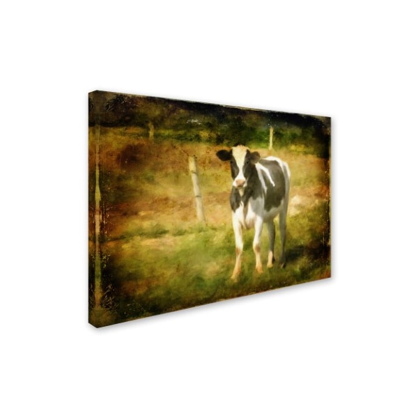 Lois Bryan 'Handsome Holstein' Canvas Art,18x24